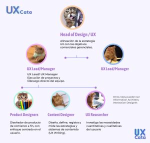 Estructura equipo UX