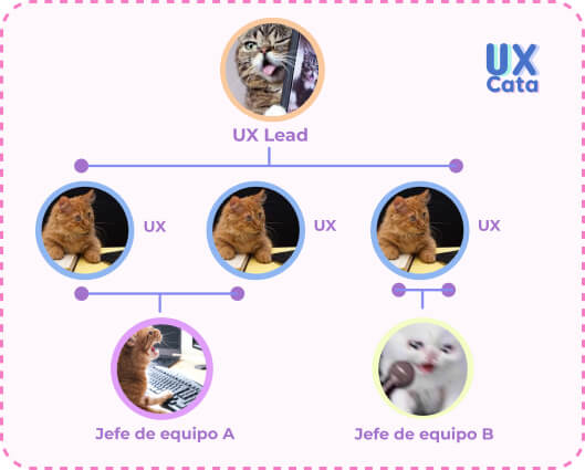 Estructura equipo UX Matrix